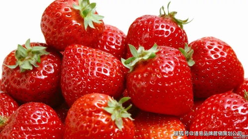 食品品牌營銷策劃公司 以消費者洞察為核心，驅動品牌價值增長