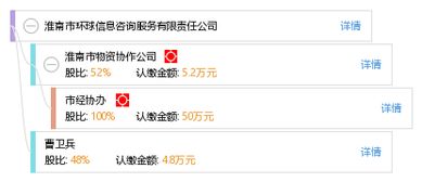 淮南市環(huán)球信息咨詢服務有限責任公司 專業(yè)信息咨詢服務的引領者